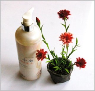 Natural Enzyme Hair Shampoo  Made in Korea